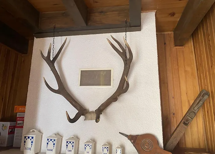 Διαμέρισμα T3 A - 6 Pers., Cheminee, Veranda, Parking - Proche Commerces Et Pistes - Fr-1-758-16